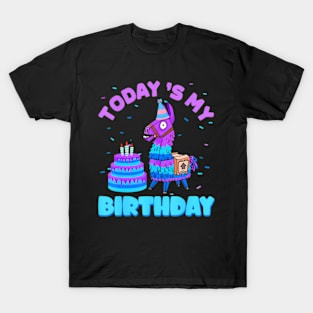 Todays My Birthday Llama Boy Family Party Decorations T-Shirt